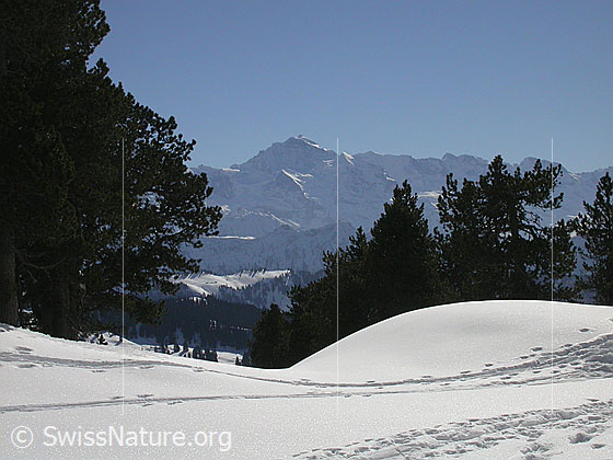 Foto: Abfahrt vom Hohgant West, oberhalb Trogenalp: Blick zur Jungfrau.