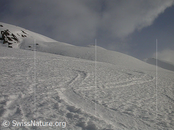 Foto: Auf Skispuren im Aufstieg zum Gandhorn.