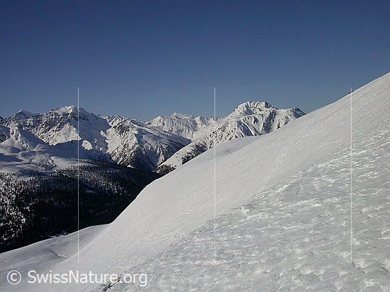 Foto: Im Aufstieg zum Gandhorn: Blick Richtung  (WSW).