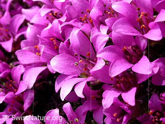 Photo: 
