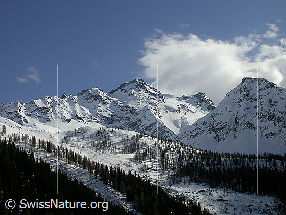 Foto: Schwarzhorn und Stockhorn von N