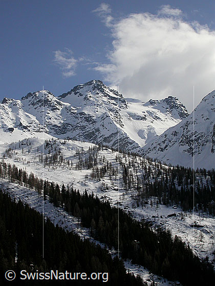 Foto: Schwarzhorn und Stockhorn von N