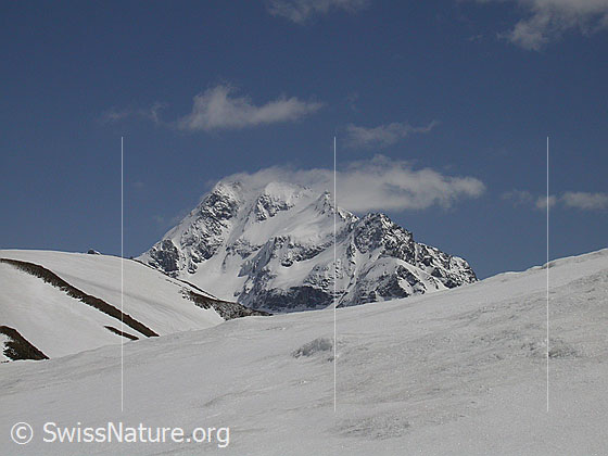 Foto: Ofenhorn mit 