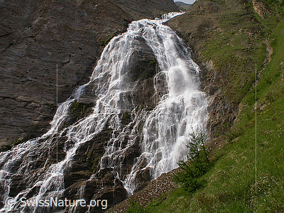 Foto: Wasserfall am Ausgang des Fäldbachtals während Schneeschmelze, Ausschnitt.