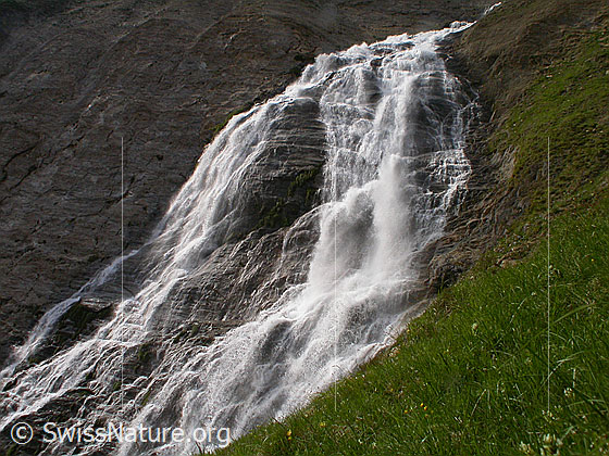 Foto: Wasserfall am Ausgang des Fäldbachtals während Schneeschmelze, Ausschnitt.