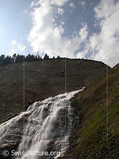 Foto: Wasserfall am Ausgang des Fäldbachtals während Schneeschmelze, Ausschnitt.