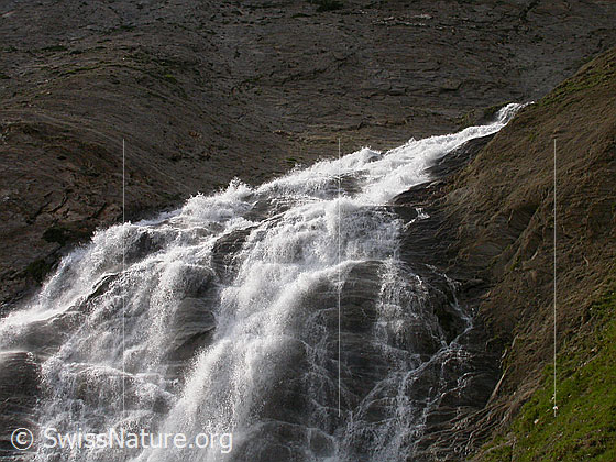 Foto: Wasserfall am Ausgang des Fäldbachtals während Schneeschmelze, Ausschnitt.