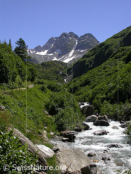 Foto: Blick von Freichi Richtung Ofenhorn (E). Im Vordergund die Binna.