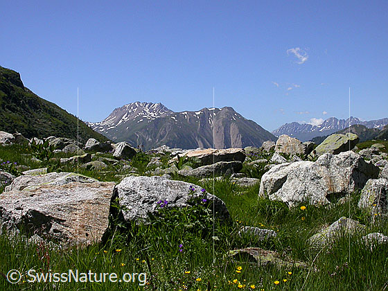 Foto: Blick vom Halsesee Richtung W (Breithorn, Bättlihorn)