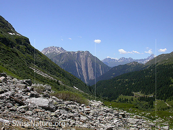 Foto: Blick vom Halsesee über das Binntal Richtung W (Breithorn, Bättlihorn)