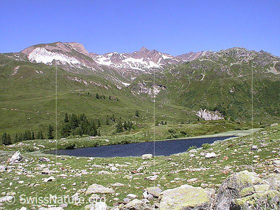 Foto: Halsesee mit Turbechepf, Turbhorn und Mittlebärg.