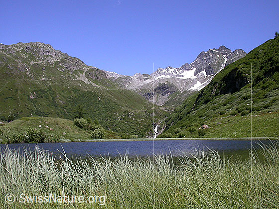 Foto: Halsesee mit Mittlebärg und Ofenhorn.