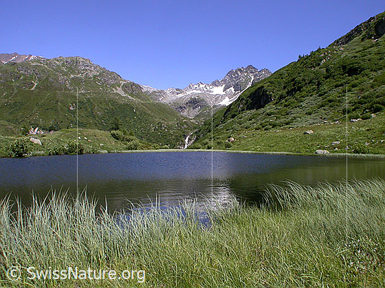 Foto: Halsesee mit Mittlebärg und Ofenhorn.