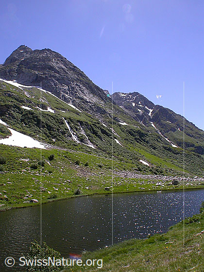 Foto: Halsesee mit Seewischhorn und Chollerhorn.