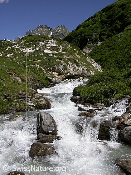 Foto: Binna bei Wyssbach. Im Hintergrund das Ofenhorn.