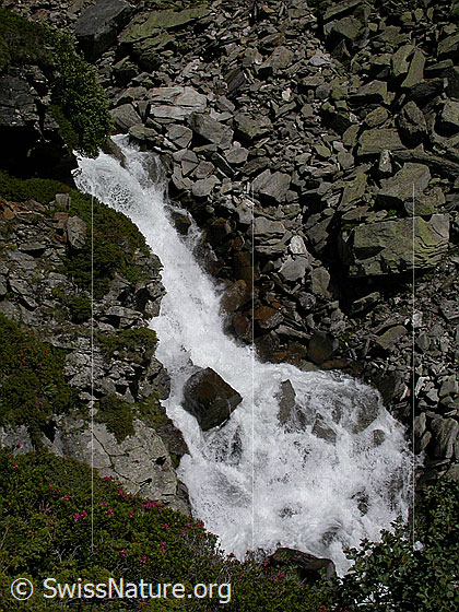 Foto: Wasserfall in Binna oberhalb Wyssbach.
