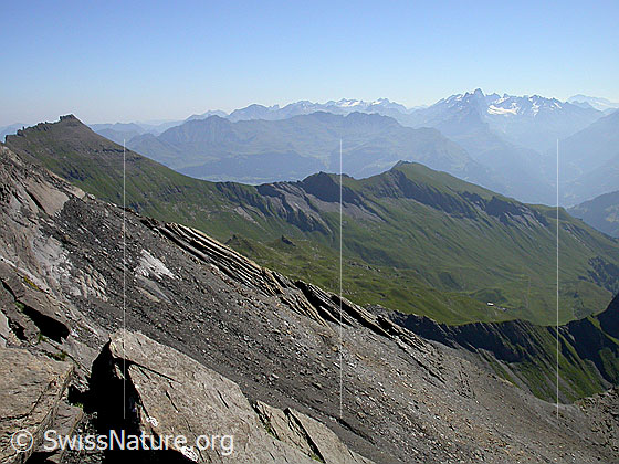Foto: Im Aufstieg zum Schwarzhorn: Blick Richtung E (Hasliberg und Sustengebiet)