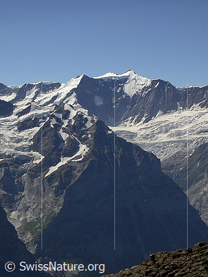 Foto: Ochs, Hinter Fiescherhorn und Gross Fiescherhorn von NW (Gipfel Schwarzhorn)
Im Vordergrund: Gwächta, Ankenbälli und Mättenberg.