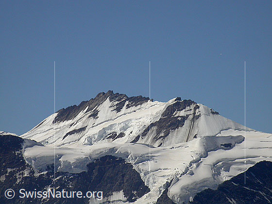 Foto: Trugberg von NE (Gipfel Schwarzhorn)
Im Vordergrund: Walcherhorn
Ganz rechts ist der Abschnitt des Mittellegigrats zu sehen, auf welchen die Mittellegihütte gebaut wurde. Etwas weiter links ist der Sporn zu sehen, auf welchem die Berglihütte steht.