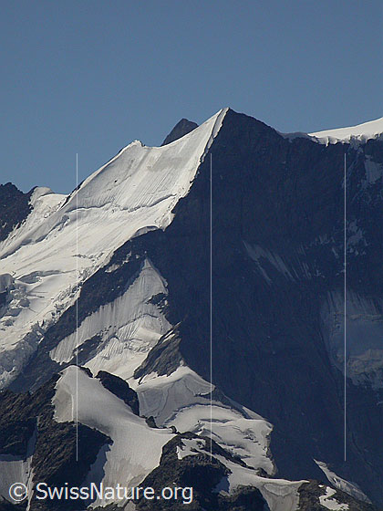 Foto: Ochs von N (Gipfel Schwarzhorn)
Links vom Gipfel des Ochs ist die Spitze des Gross Grünhorn sichtbar, im Vordergrund der Gipfel des Mättenberg.
