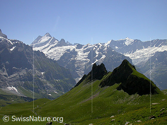 Foto: Lauteraarhorn, Schreckhorn, Finsteraarhorn, Ochs und Gross Fiescherhorn von NNE (Abstieg Schwarzhorn)
Im Vordergrund: Schilt