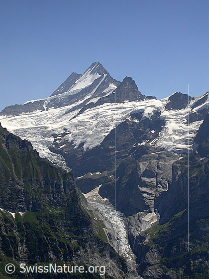 Foto: Lauteraarhorn, Schreckhorn und Klein Schreckhorn von NNE (First)
Gut zu sehen ist die Zunge des Obere Grindelwaldgletscher.