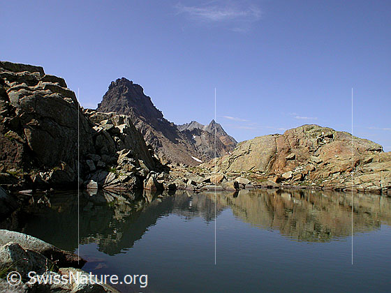 Foto: Spiegelung im Seelein auf dem Grampielpass: Rothorn, Punta Gerla und Schwarzhorn.