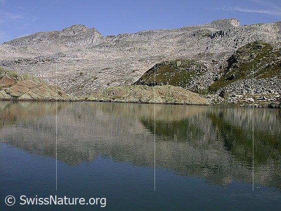 Foto: Schwache Spiegelung im Seelein auf dem Grampielpass: Schinhörner.