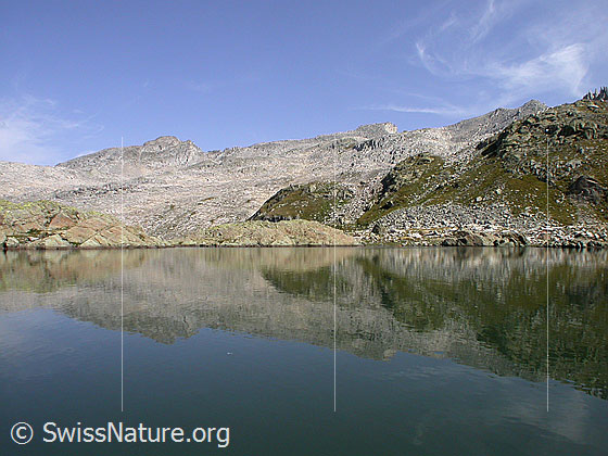 Foto: Spiegelung im Seelein auf dem Grampielpass: Schinhörner.