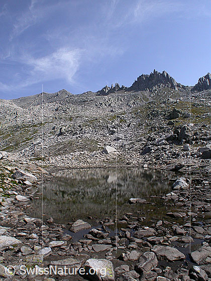 Foto: Landschaft zwischen Grampielpass und Mittelbergpass.