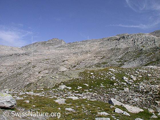 Foto: Karge Landschaft zwischen Grampielpass und Mittelbergpass.