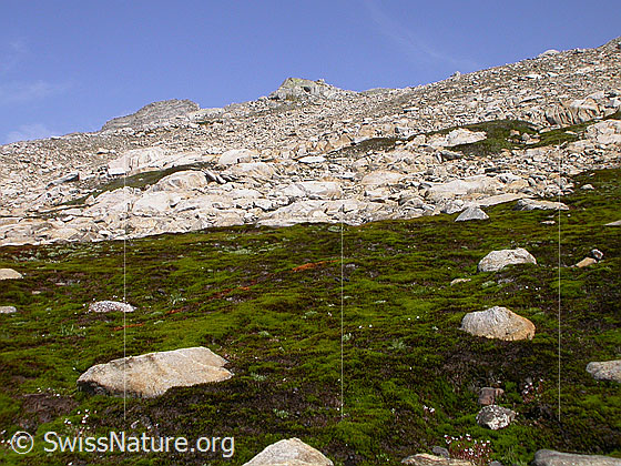 Foto: Karge Landschaft zwischen Grampielpass und Mittelbergpass.