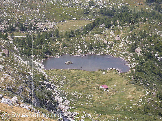 Foto: Mässersee.