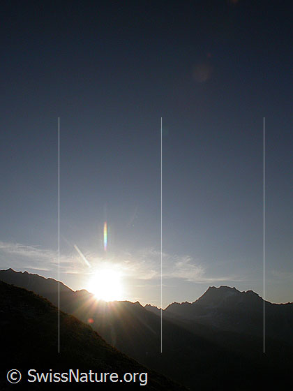 Foto: Im Aufstieg zum Furggulti: Sonnenaufgang mit Ofenhorn