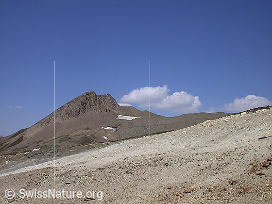 Foto: Holzjihorn von ESE.