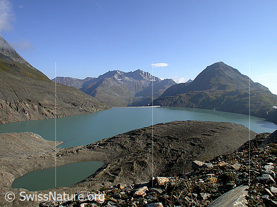 Foto: Griessee, Piz Gallina und Nufenenstock von SW
Zu sehen ist auch der See im Vorfeld des Gletschers.