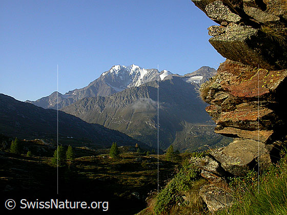 Foto: Fletschhorn und Senggchuppa von NNE (Simplon).
Vordergrund: Lärchen und Fels