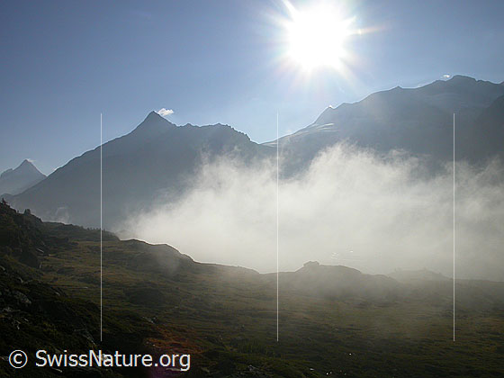 Foto: Morgenstimmung auf dem Simplonpass mit Bortelhorn, Wasenhorn, Monte Leone und Breithorn.
Gegenlichtaufnahme.