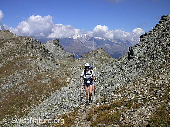 Foto: Alpin Wandern am Spitzhorli.