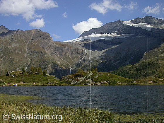 Foto: Simplonpass: Hopschusee. 
Im Hintergund: Monte Leone, Chaltwassergletscher, Homattugletscher, Breithorn.