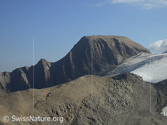 Foto: Rappehorn und Rappegletscher von SW (Holzjihorn)