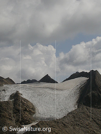 Foto: Fäldbachgletscher und Turbechepf von W (Holzjihorn)