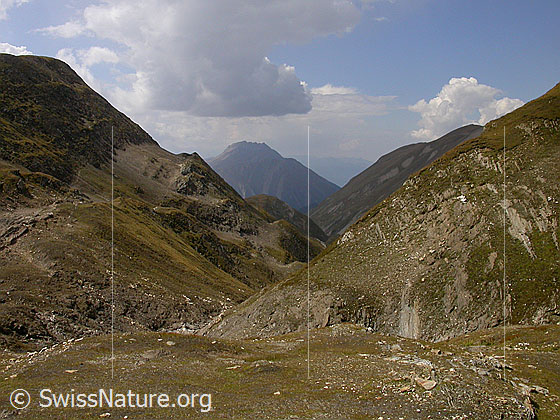 Foto: Blick durch das Fäldbachtal zu Breithorn und Bättlihorn.