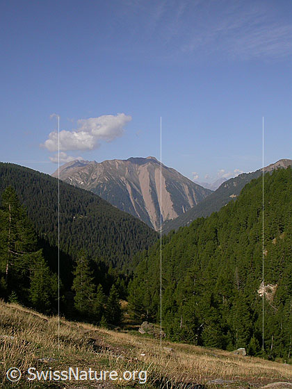 Foto: Blick von Binnultini über das Binntal zum Breithorn.