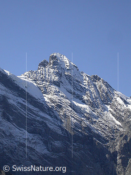 Foto: Gspaltenhorn von NE (oberhalb Mürren). 
Fast die ganze Nordwand ist sichtbar.