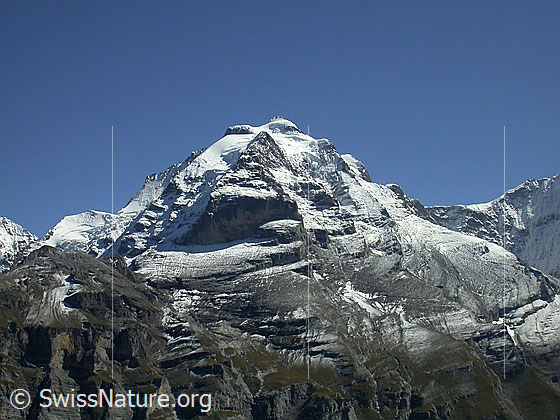 Foto: Schwarzmönch, Silberhorn, Jungfrau, Rotbrätt und Rottal von WNW (oberhalb Mürren)