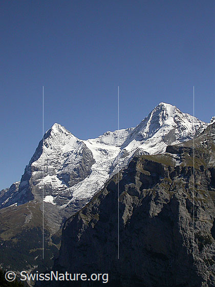 Foto: Eiger, Mönch und ein Ausläufer des Schwarzmönch WNW (oberhalb Mürren)
Gut zu sehen ist der Nollen am Mönch.