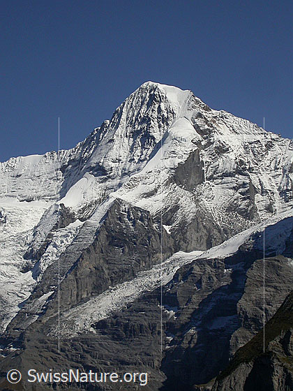 Foto: Mönch von W (oberhalb Mürren).
Zu sehen ist der Nollen (Mönch) und davor die langezogene Zunge des Guggigletschers.