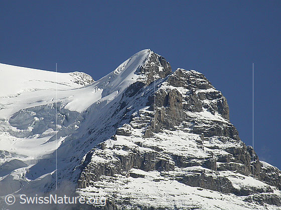 Foto: Jungfrau: Rotbrätt und Rotbrättgrat von NNW (Mürren)