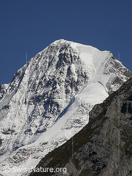 Foto: Gipfel des Mönch von W (Mürren)
Gut zu sehen ist die Nordwandrippe, die Nordwand und der Nollen. Im Vordergrund ein Ausläufer des Schwarzmönch.